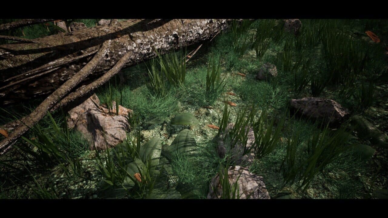 Soilborn: Ant Empire thumbnail 4