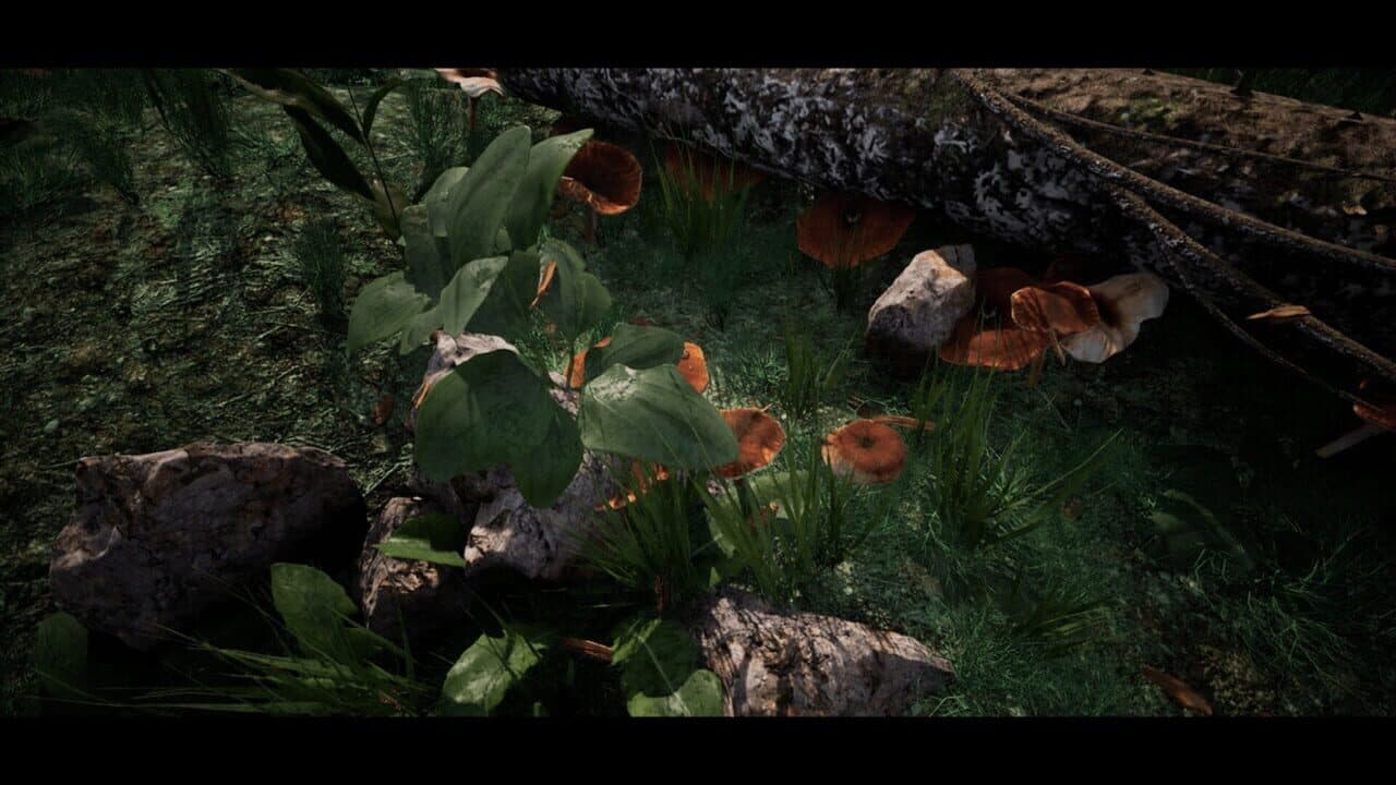 Soilborn: Ant Empire thumbnail 5