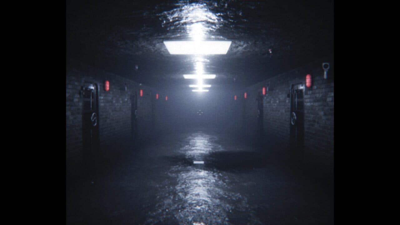 D.I.M. thumbnail 2