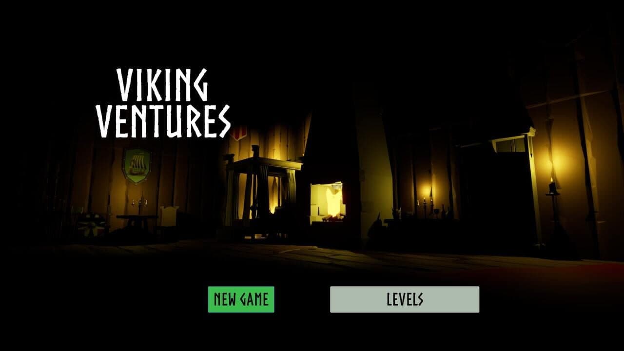 Viking Ventures screenshot 1