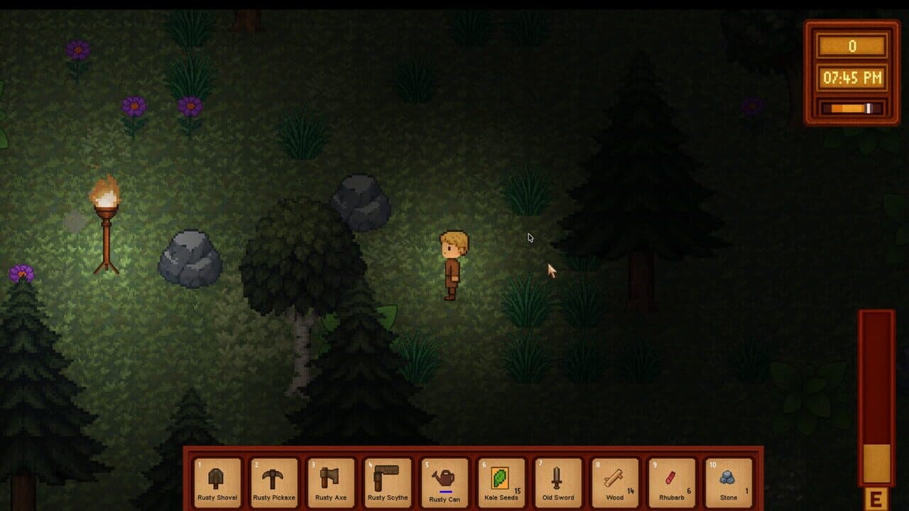 Kingdom of Hope thumbnail 2