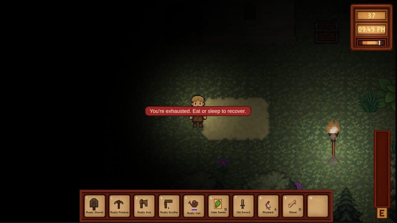 Kingdom of Hope thumbnail 3