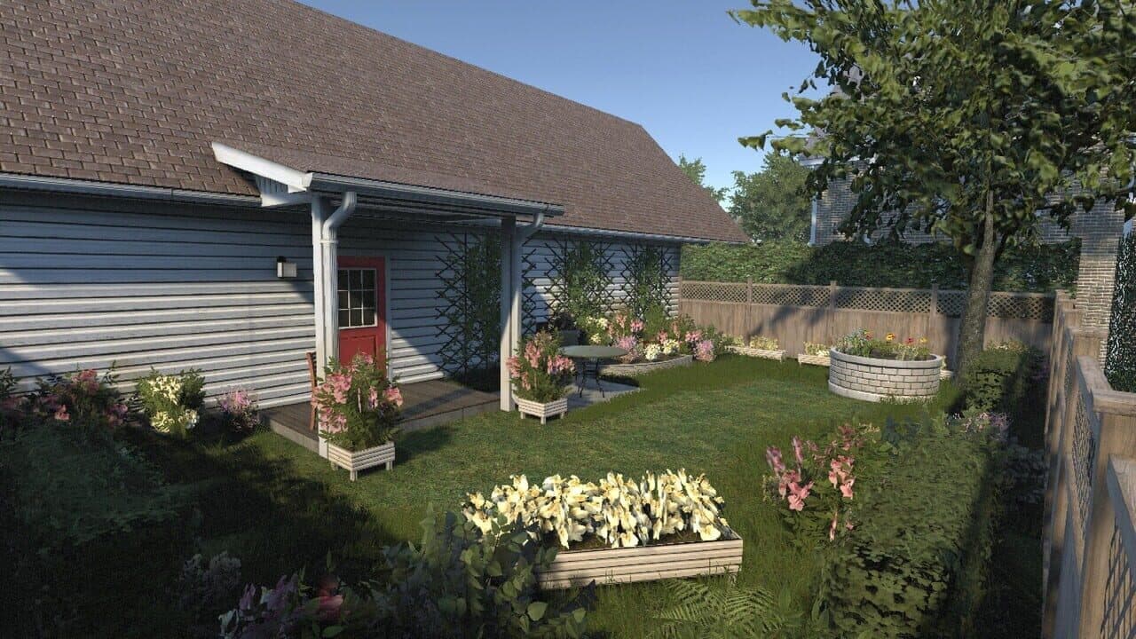 Myosotis thumbnail 6