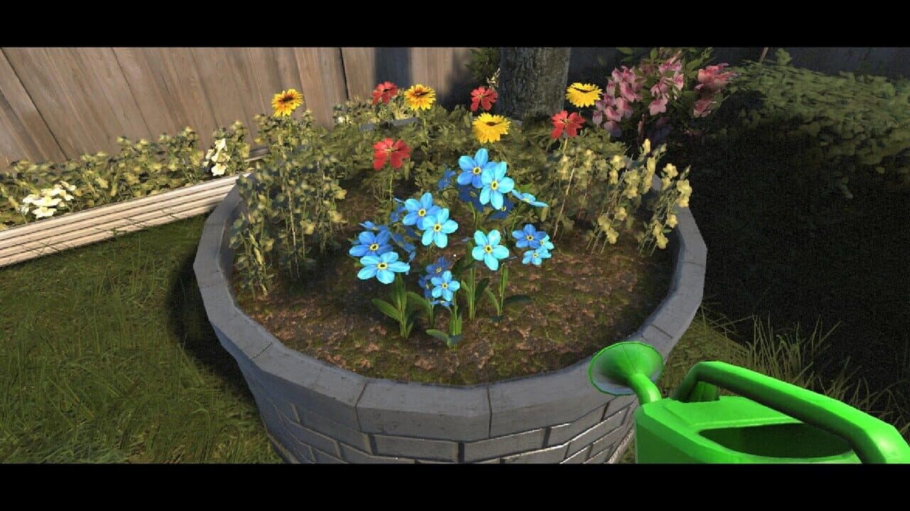Myosotis thumbnail 14