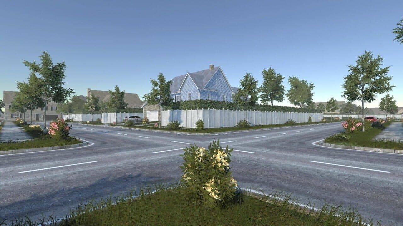 Myosotis thumbnail 3