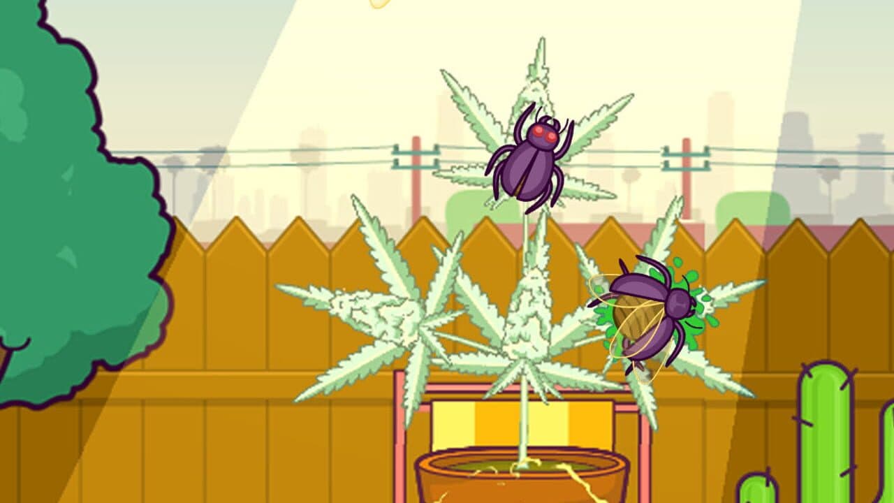 Lil Pothead thumbnail 4