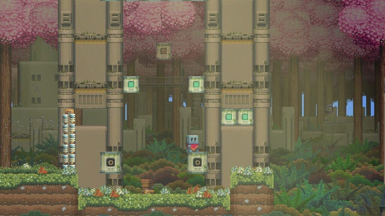 Poncho thumbnail 3