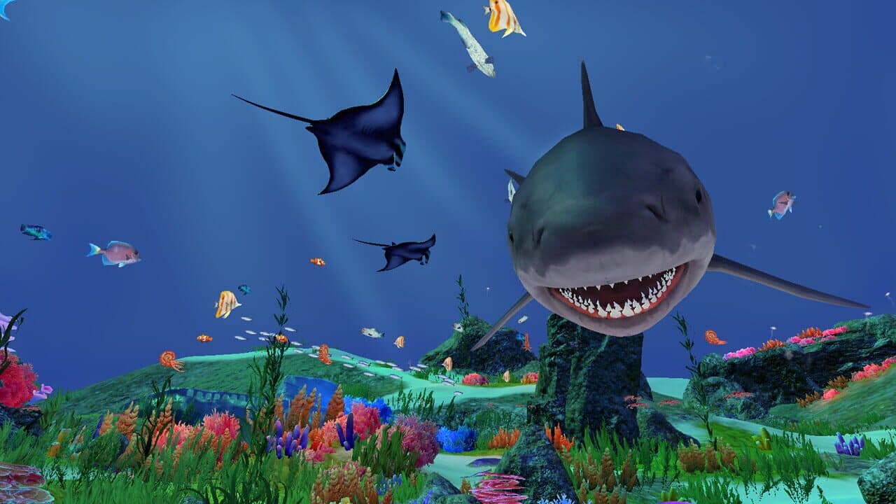 Fancy Fishing VR thumbnail 5