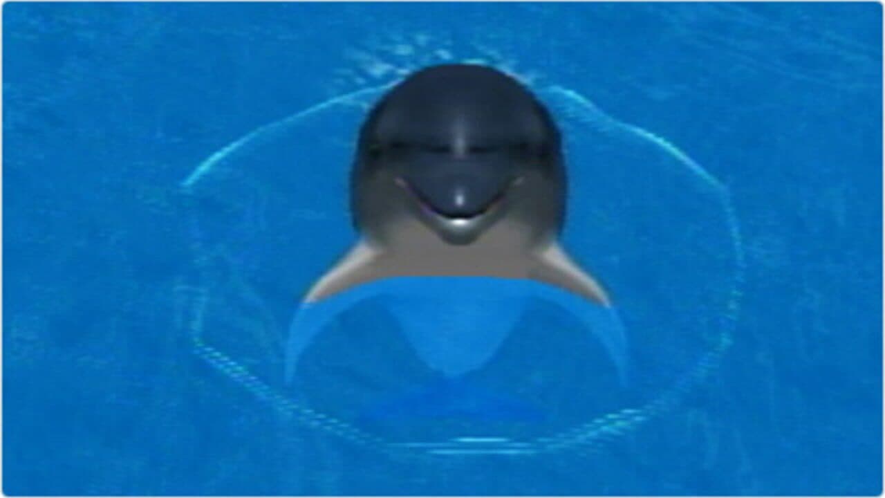 My Dolphin thumbnail 4
