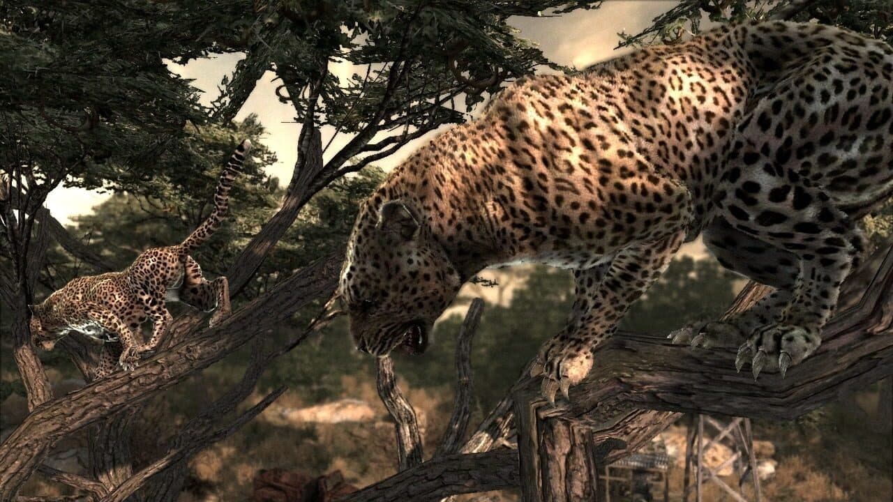 Cabela's Dangerous Hunts 2011 thumbnail 2