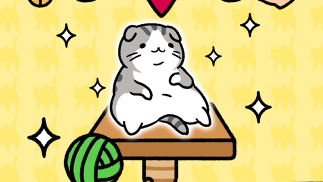 Cat Condo thumbnail 8