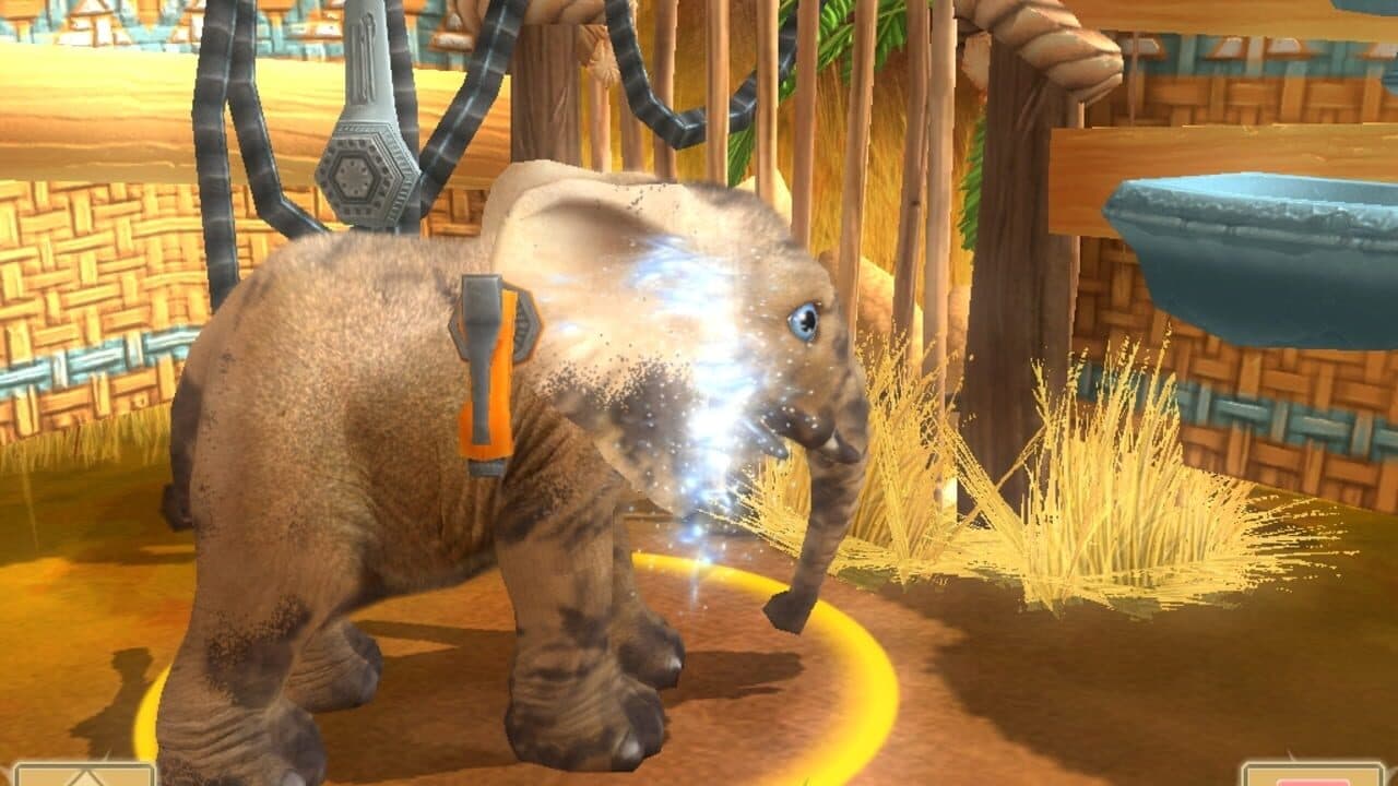 Wildlife Camp thumbnail 3