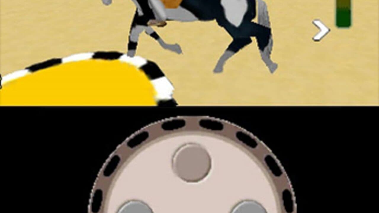Riding Star 3D: Champion in Sattle screenshot 1