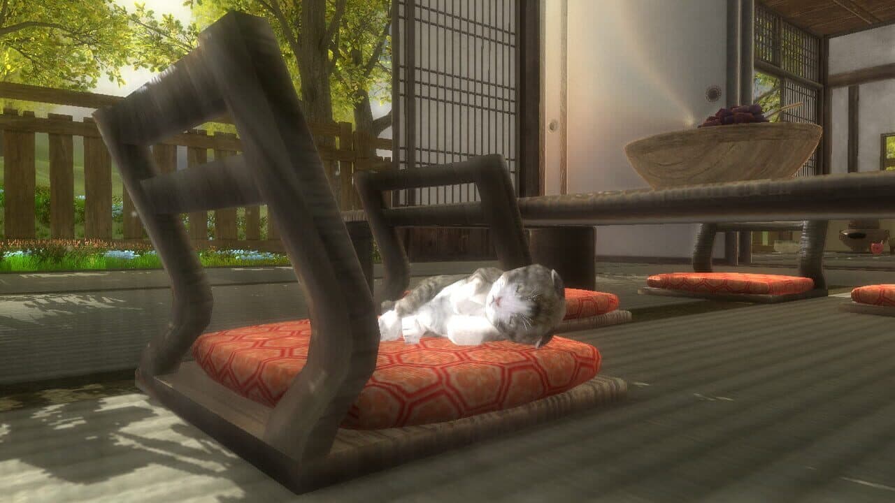 Kitten Super Adventure thumbnail 4