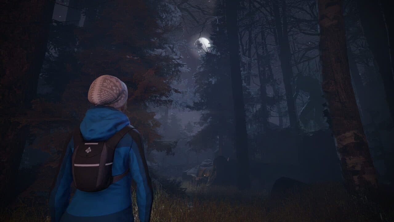 Through the Woods thumbnail 5