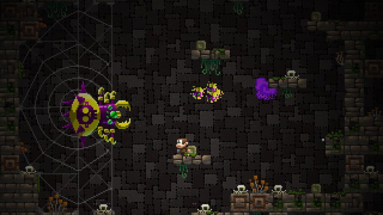 Adventure Apes and the Mayan Mystery thumbnail 5