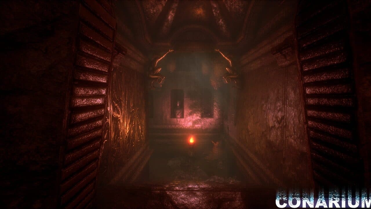 Conarium thumbnail 4