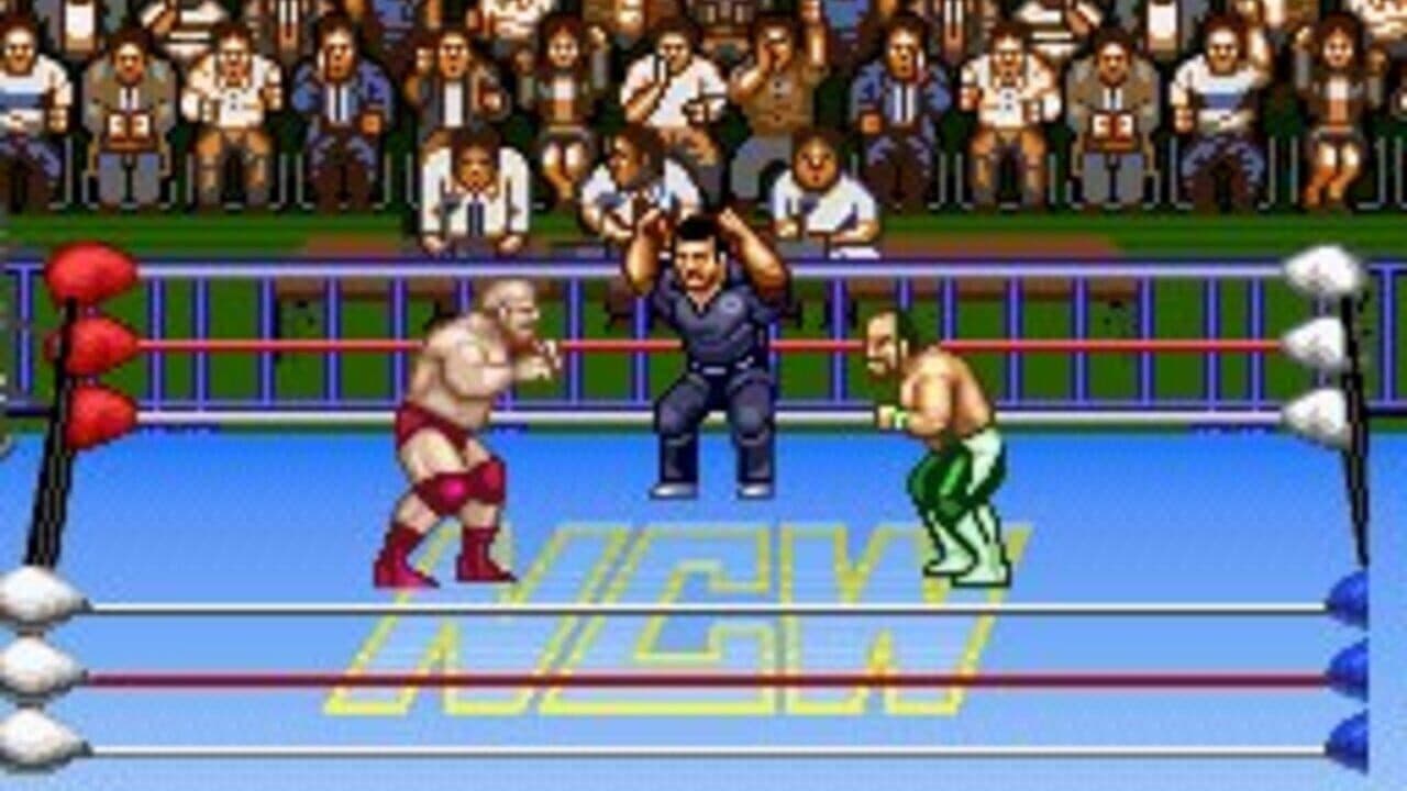 Natsume Championship Wrestling thumbnail 3