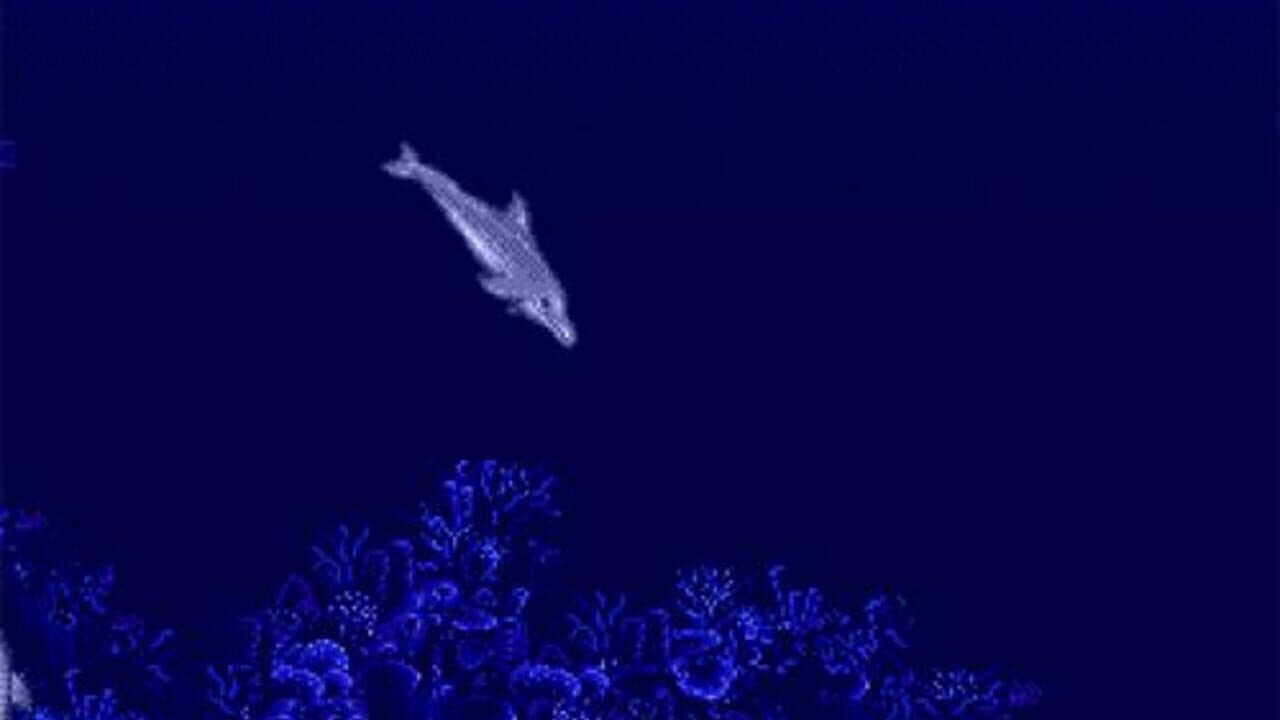 Ecco the Dolphin thumbnail 3