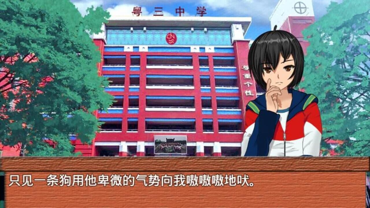 梦本无忧 thumbnail 12