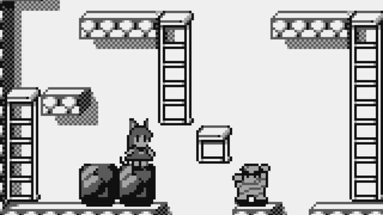 Catrap thumbnail 6