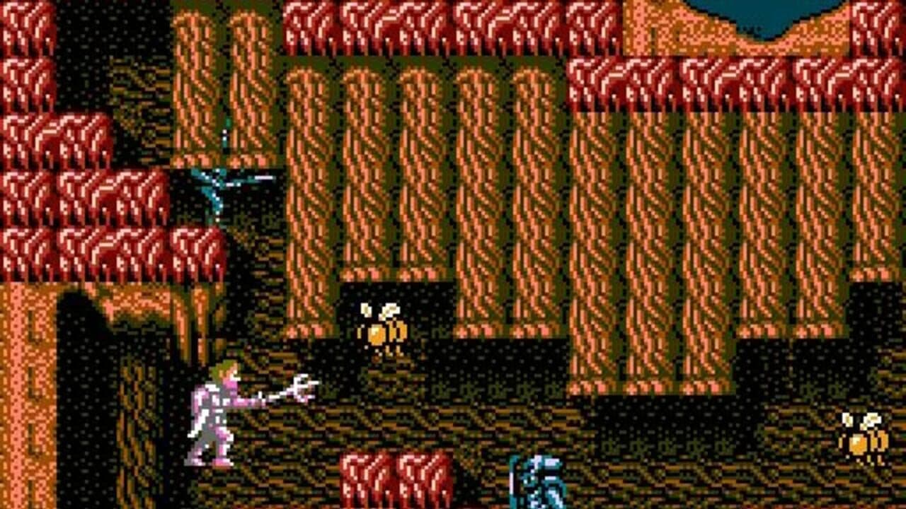 Faxanadu thumbnail 3