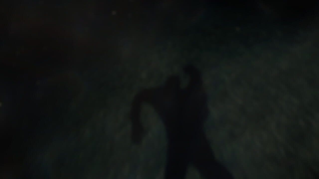 Reflecting Fate thumbnail 5