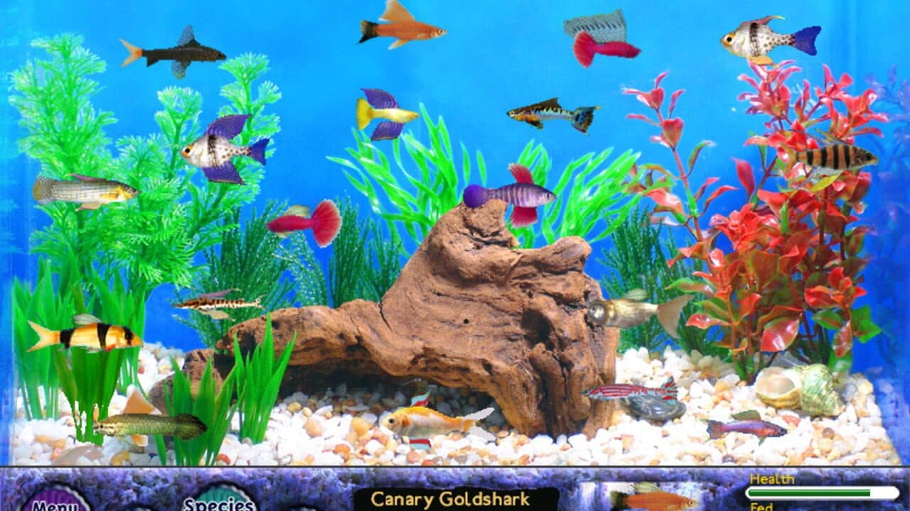 Fish Tycoon thumbnail 3