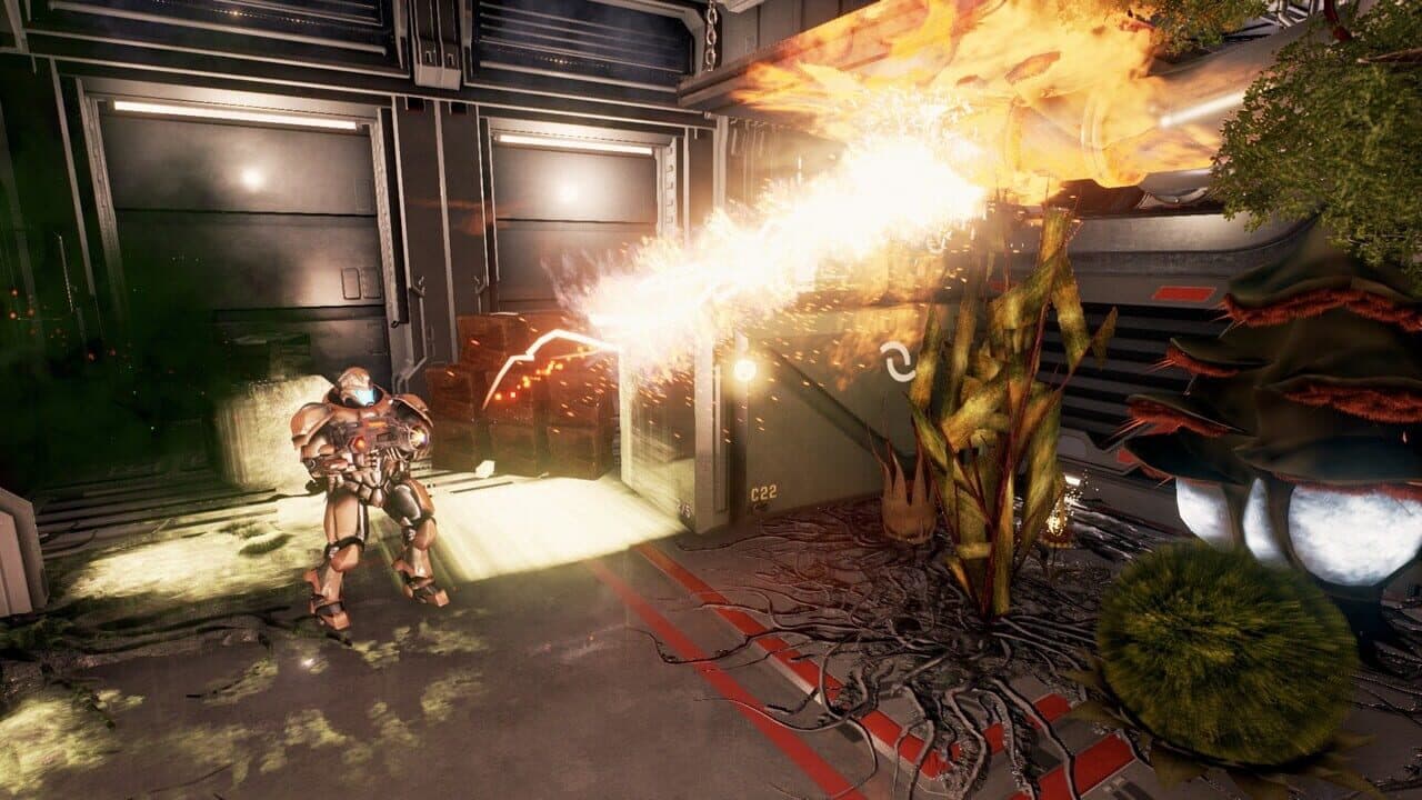 Murnatan thumbnail 9