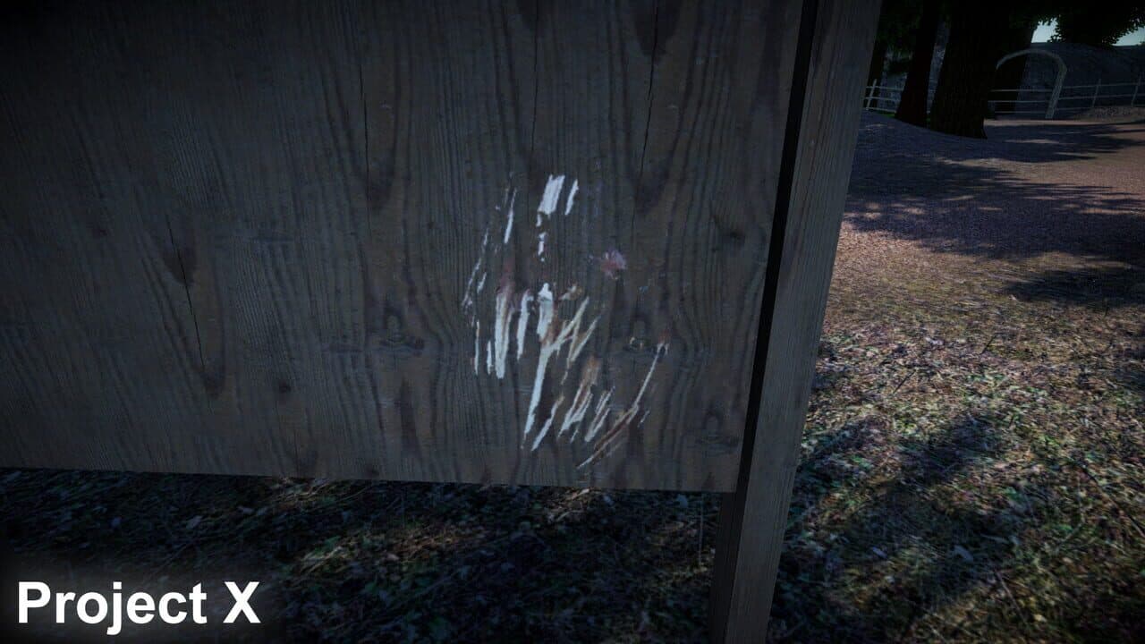 Project X thumbnail 3