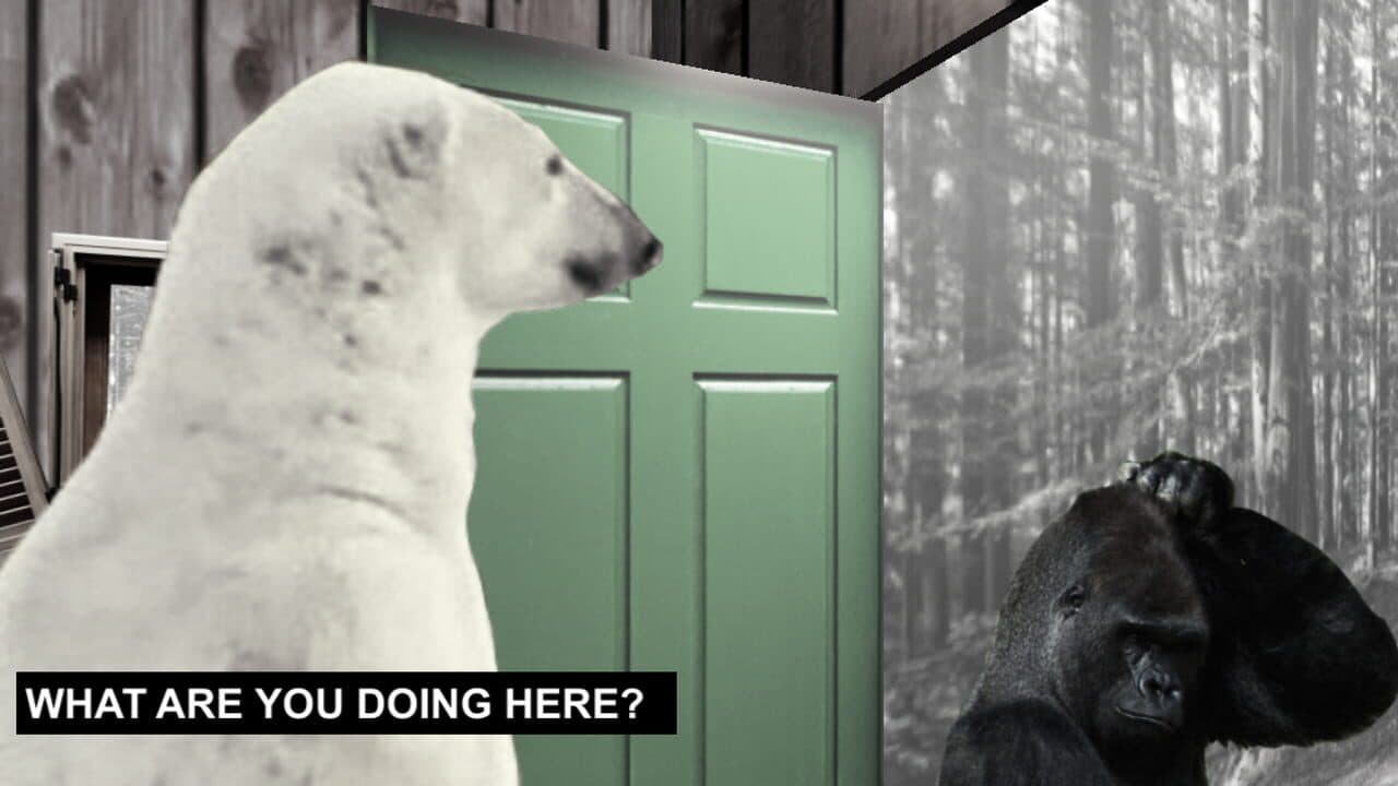 Disco Bear thumbnail 4