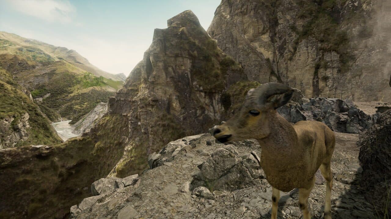 Infiniti VR thumbnail 4