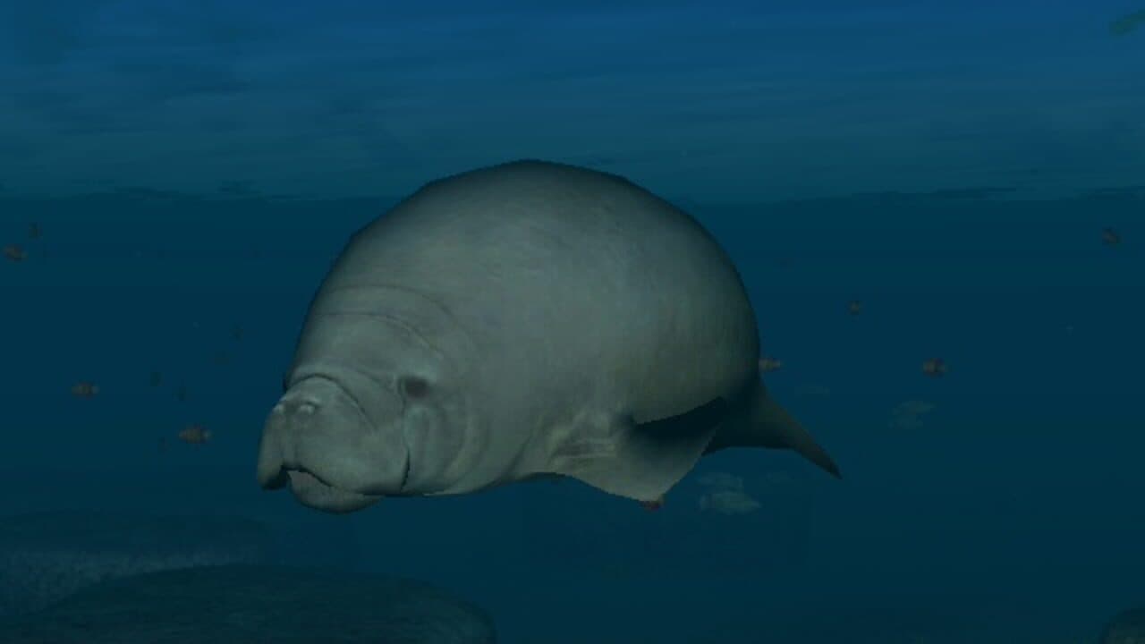 Endless Ocean: Blue World thumbnail 7
