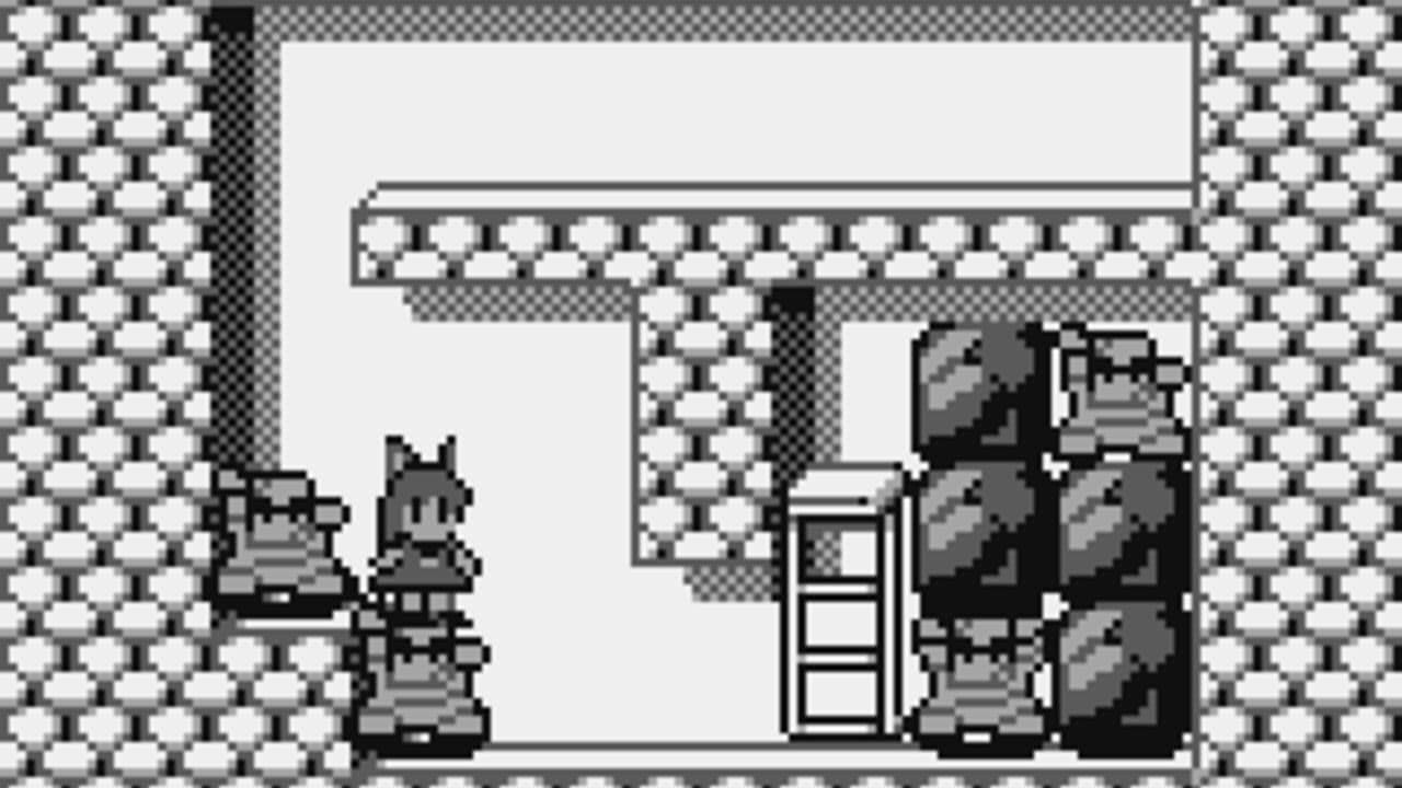 Catrap thumbnail 8