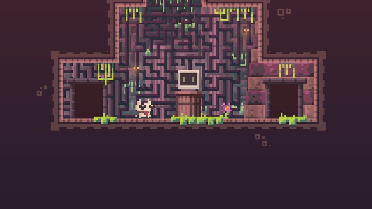 Reed thumbnail 3