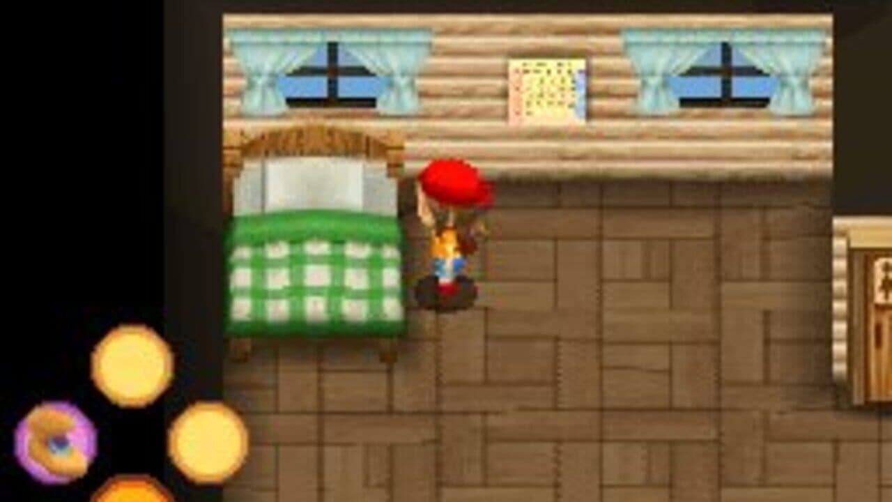 Harvest Moon DS: Sunshine Islands thumbnail 9