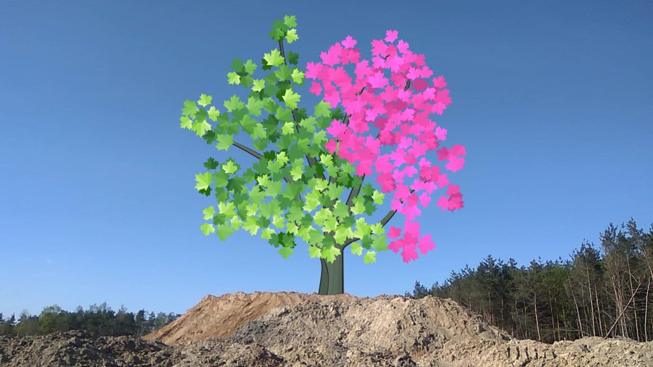 Stump thumbnail 7
