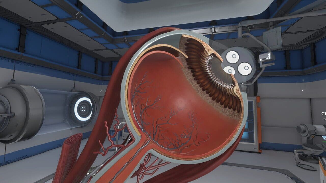 The Physiology of the Eye thumbnail 4