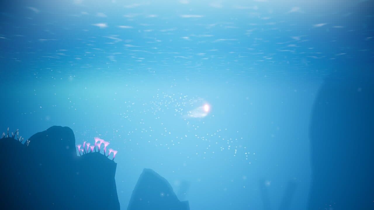 Koral thumbnail 5