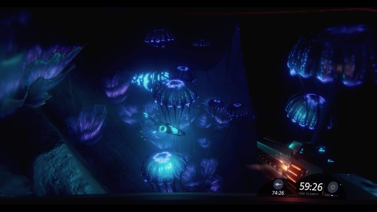 Debris thumbnail 5
