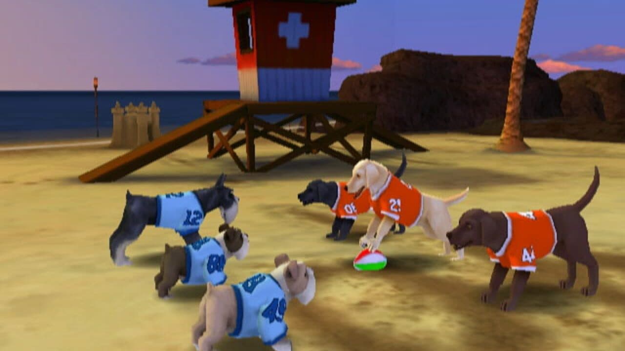 Jerry Rice & Nitus' Dog Football thumbnail 5
