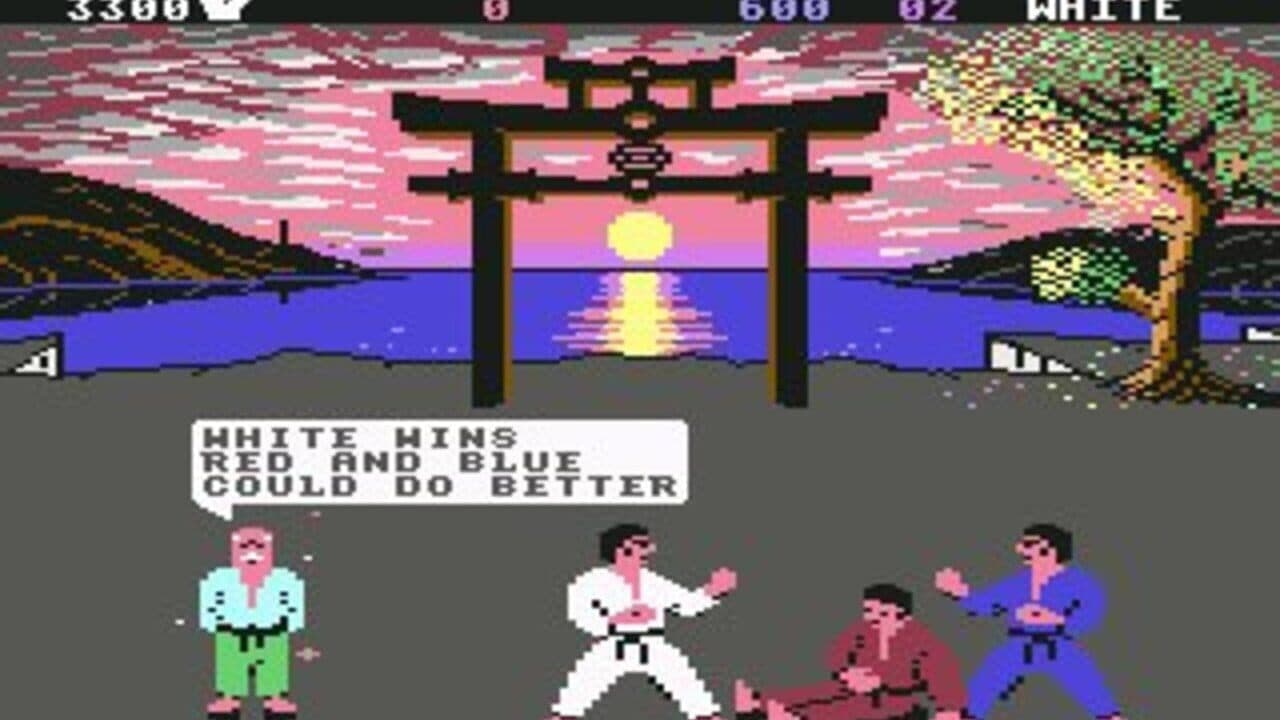 International Karate + thumbnail 4