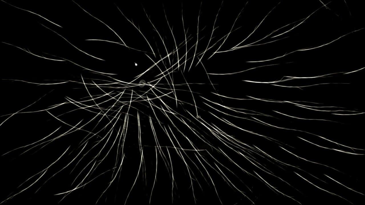 Borealis thumbnail 5