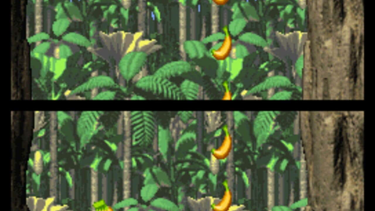 DK: Jungle Climber thumbnail 10