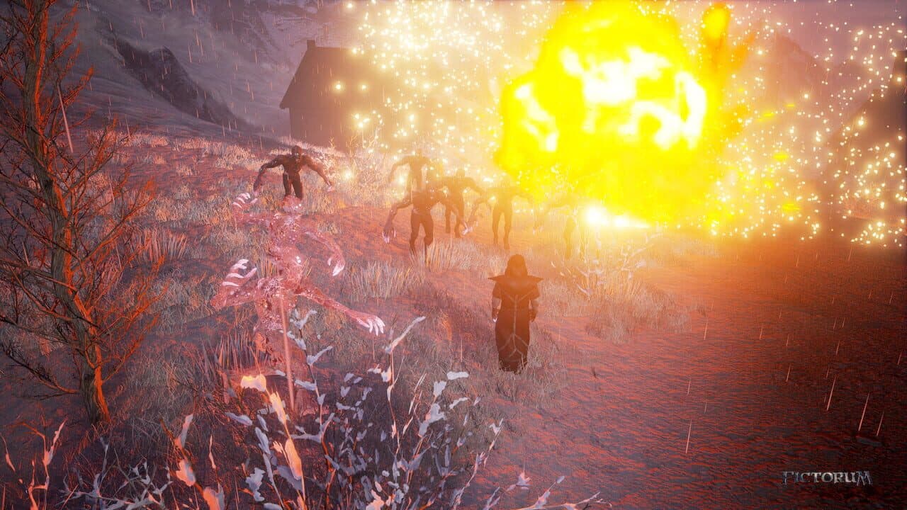 Fictorum thumbnail 4