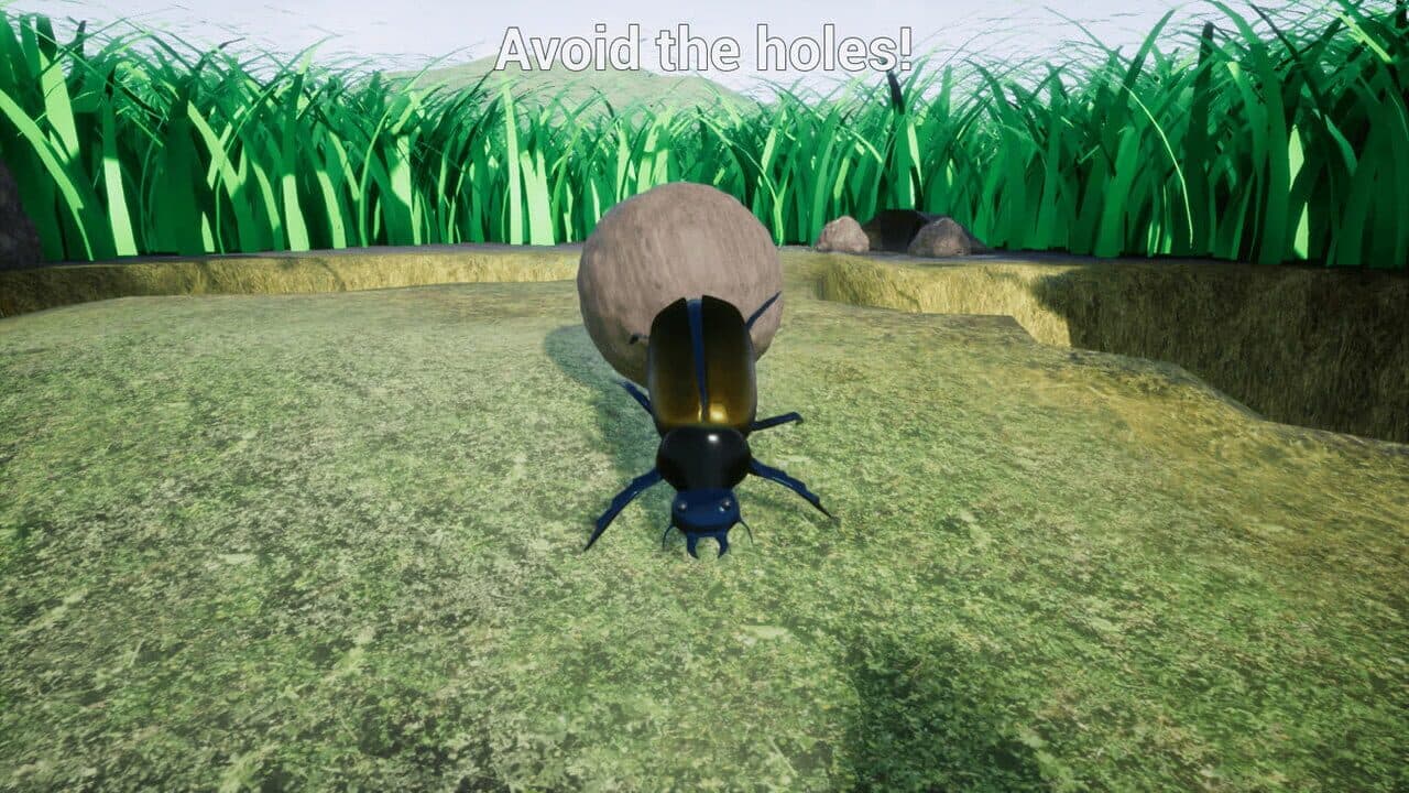 Dung Beetle thumbnail 2