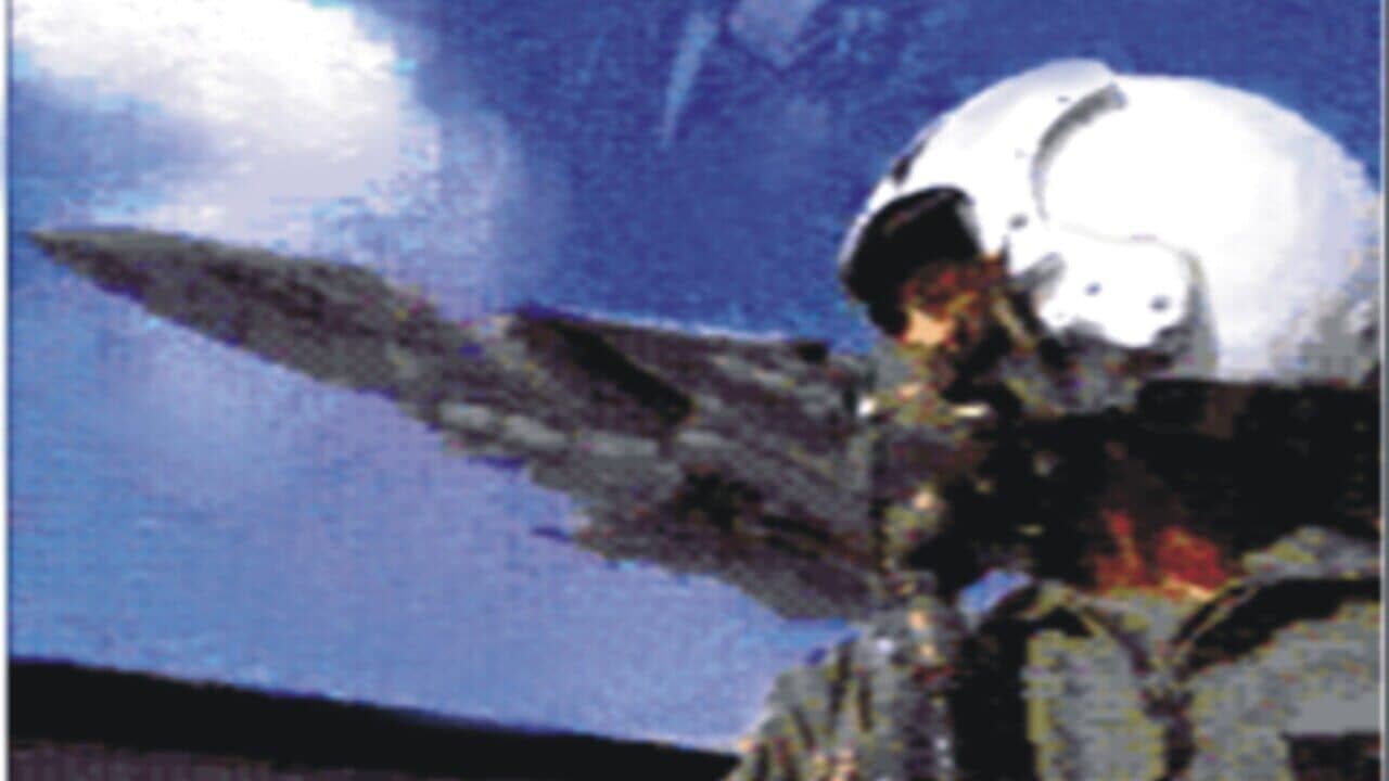 Tomcat Alley thumbnail 3