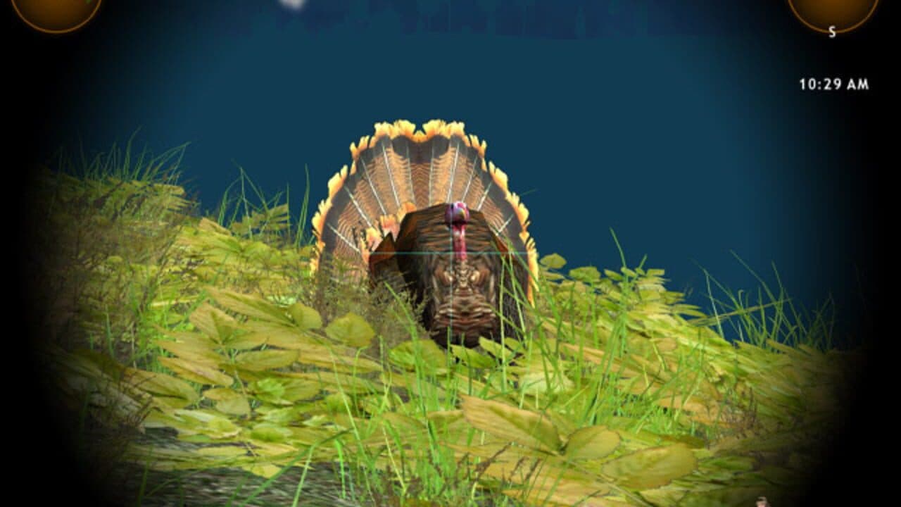 Hunting Unlimited 2008 thumbnail 4