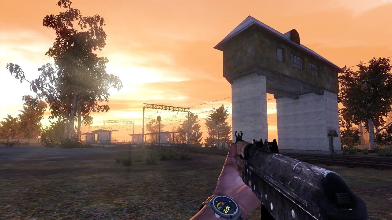 Sunrise survival thumbnail 2
