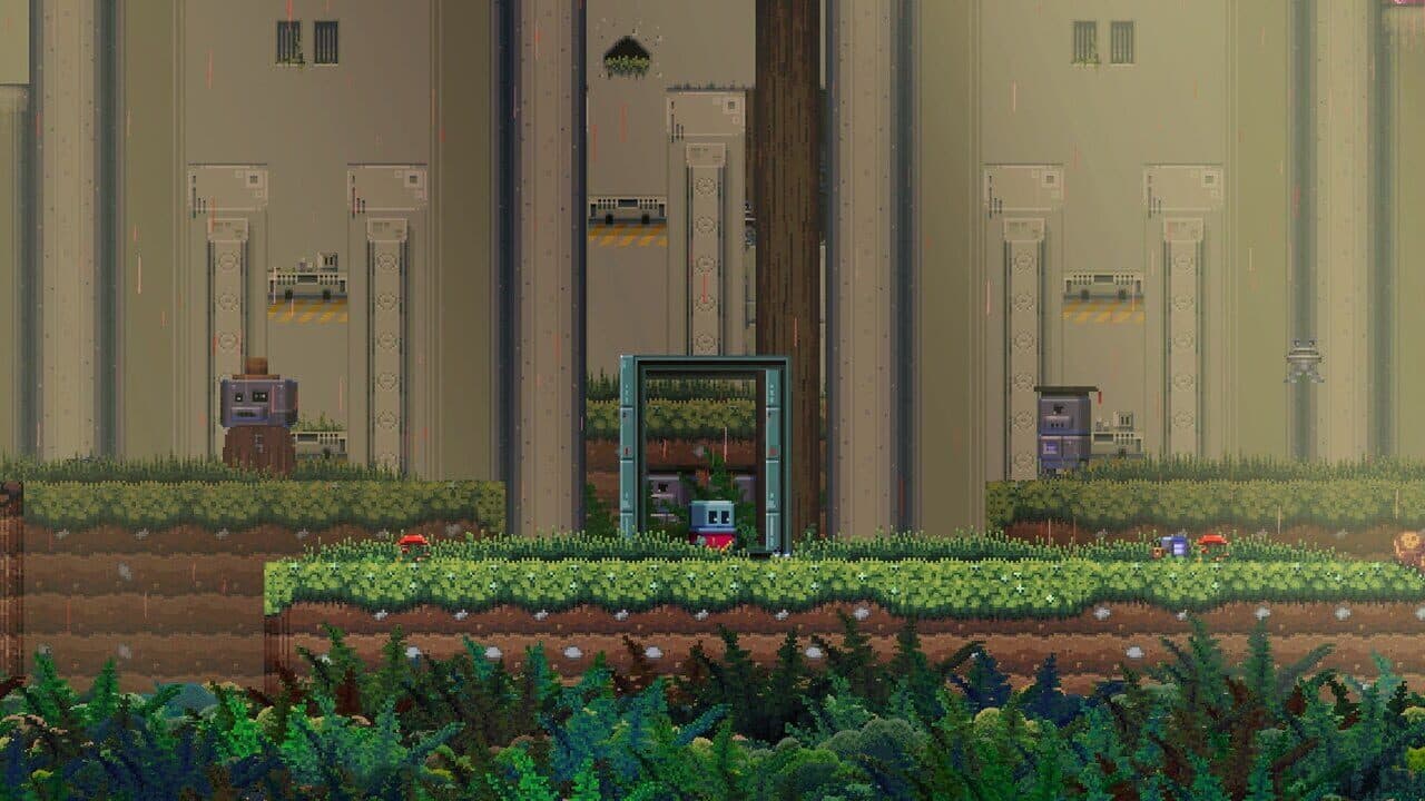 Poncho thumbnail 5
